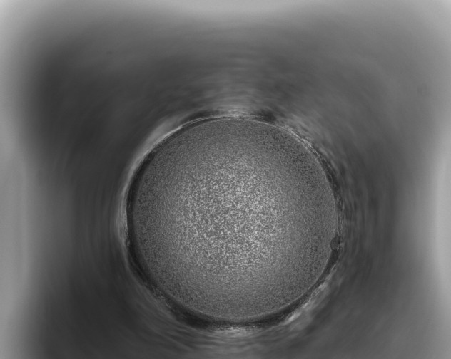 X0000095900198200801181253