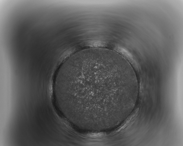 X0000095900202200801181252