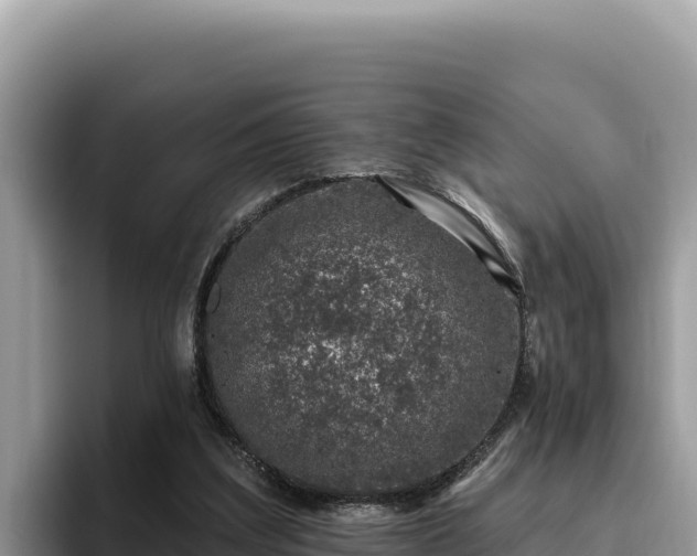 X0000095900203200801181252