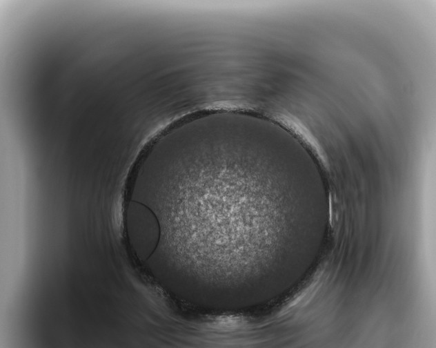 X0000095900204200801181252