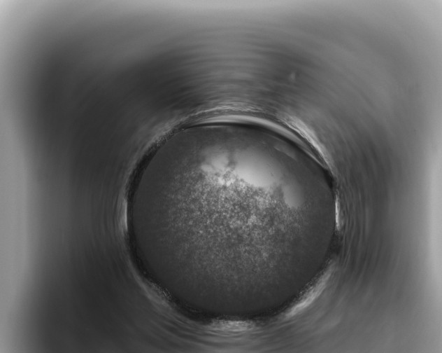 X0000095900205200801181252