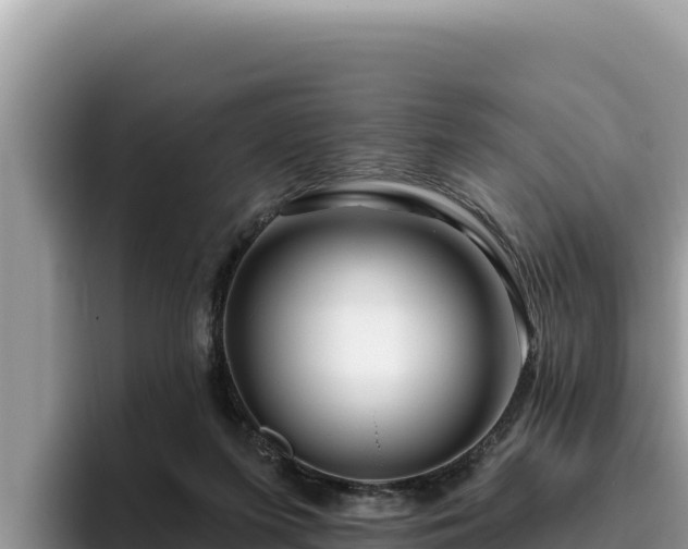 X0000095900215200801181252