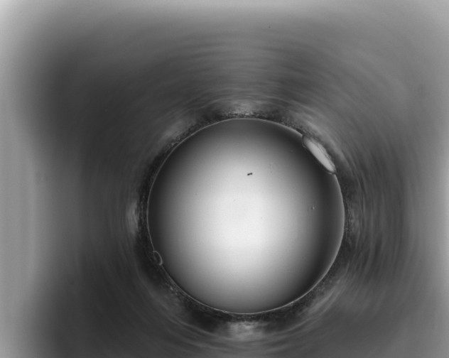 X0000095900216200801181252