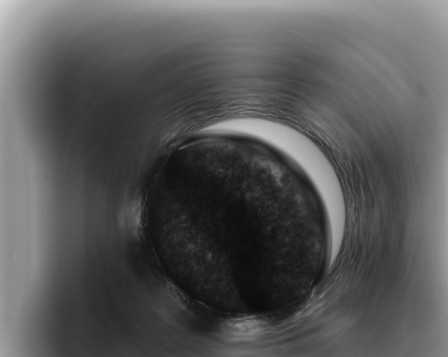 X0000095900219200801181252