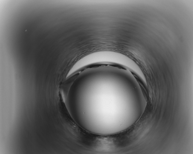 X0000095900221200801181252