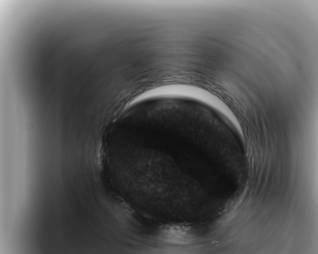 X0000095900223200801181252