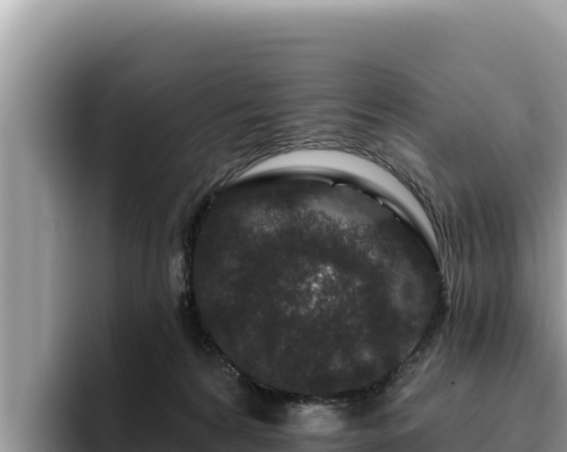 X0000095900224200801181252