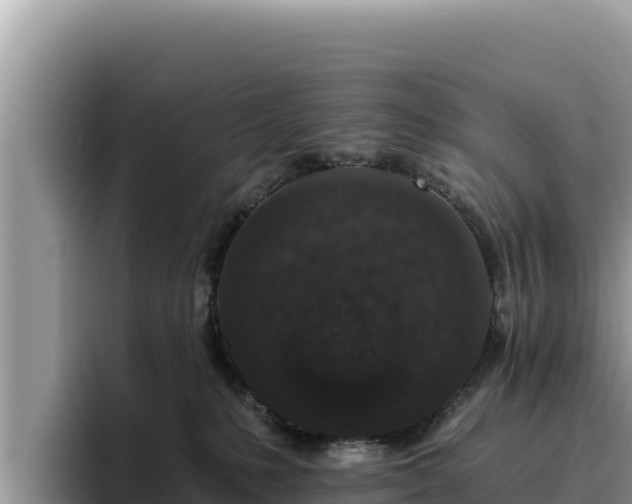 X0000095900231200801181252