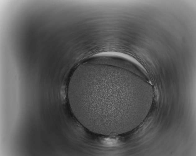 X0000095900232200801181252