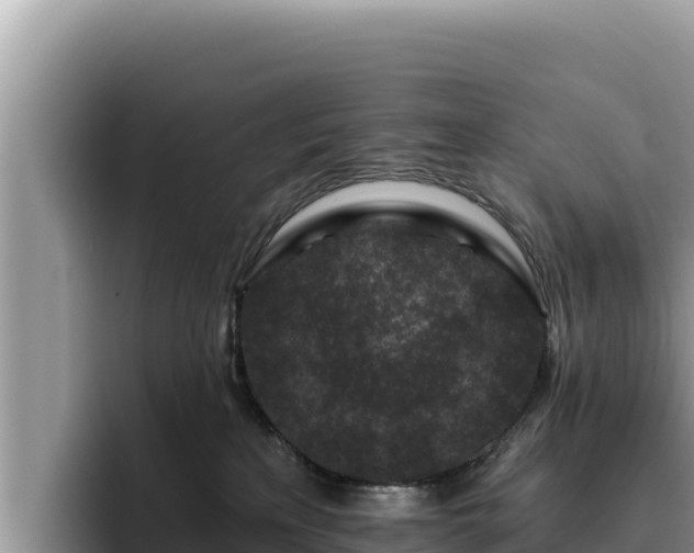 X0000095900233200801181252