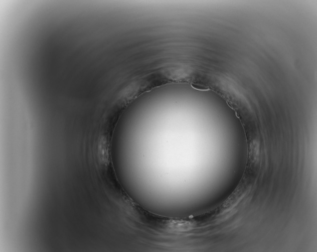 X0000095900234200801181252