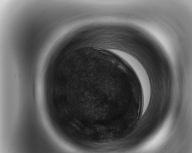 X0000095900239200801181252