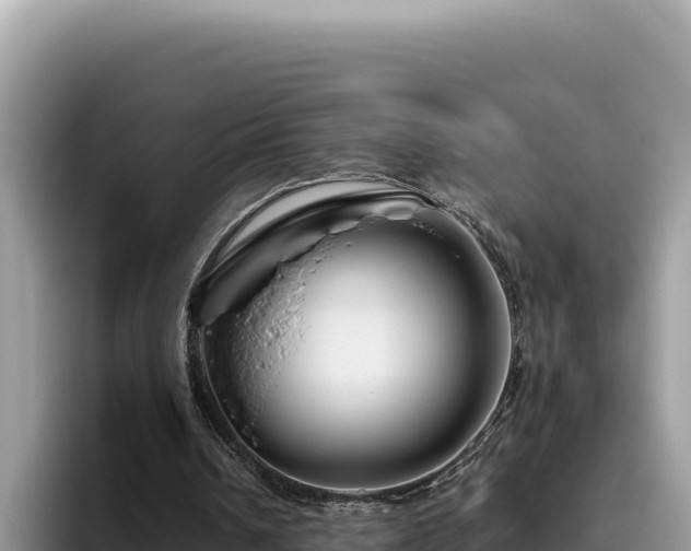 X0000095900242200801181251