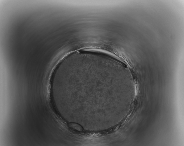 X0000095900243200801181251