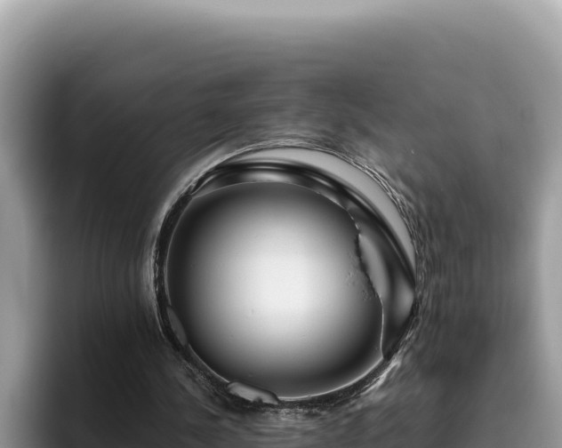 X0000095900244200801181251