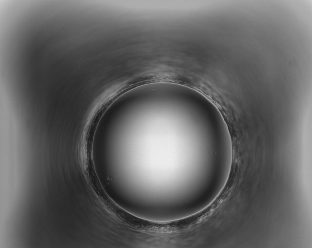 X0000095900245200801181251