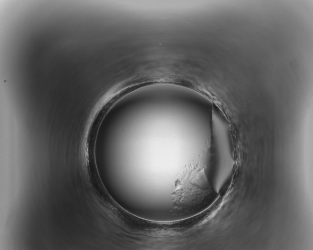 X0000095900246200801181251