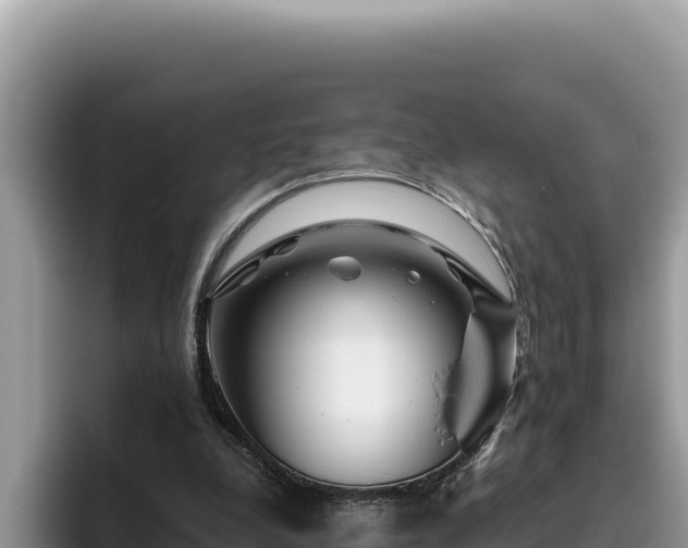 X0000095900248200801181251