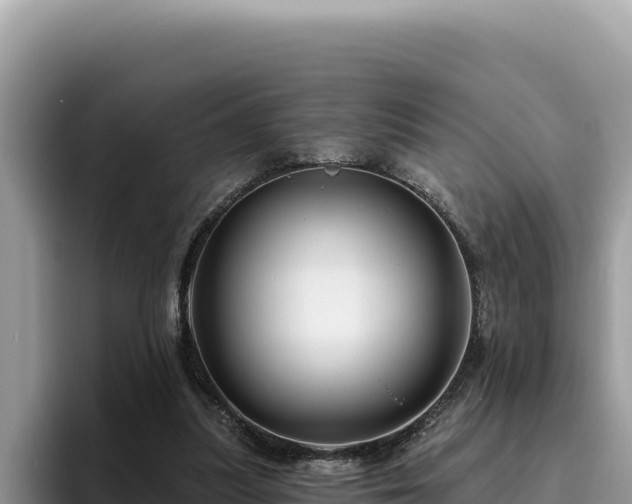 X0000095900251200801181252