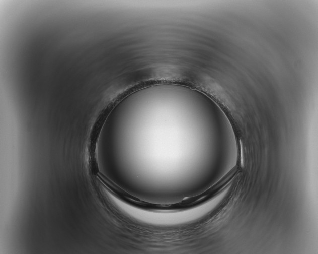 X0000095900252200801181252