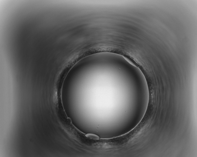 X0000095900254200801181252