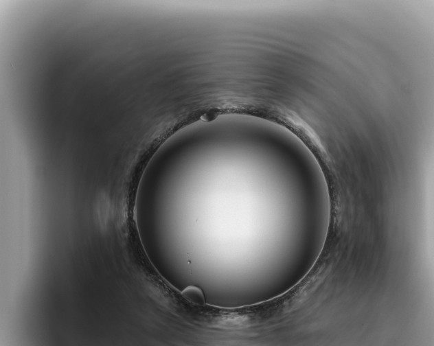 X0000095900257200801181252