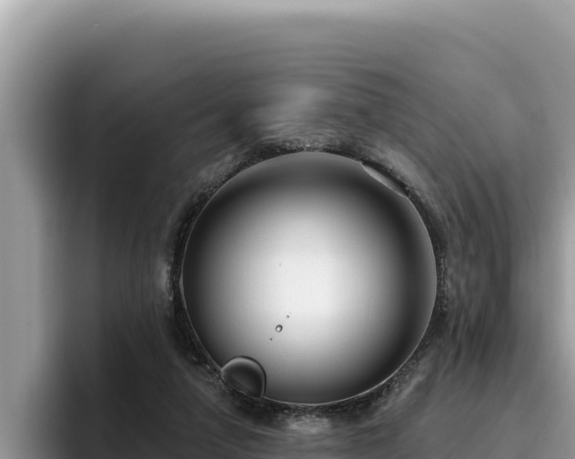 X0000095900258200801181252