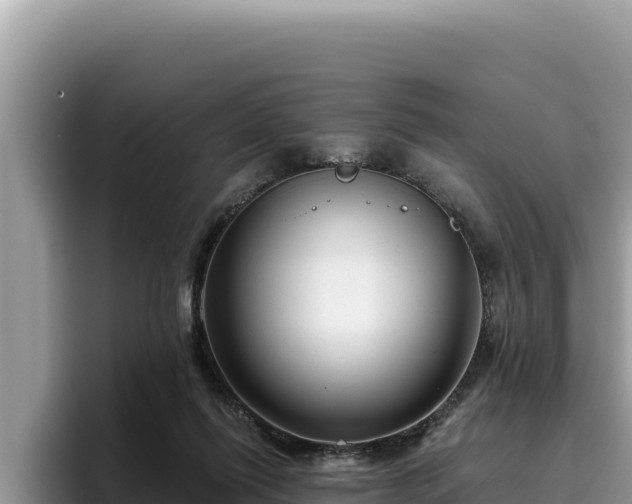 X0000095900262200801181252