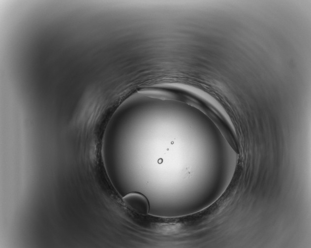 X0000095900266200801181252