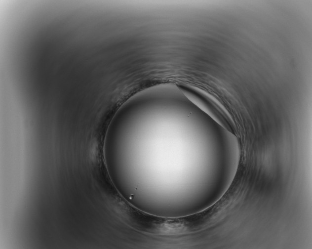 X0000095900270200801181252