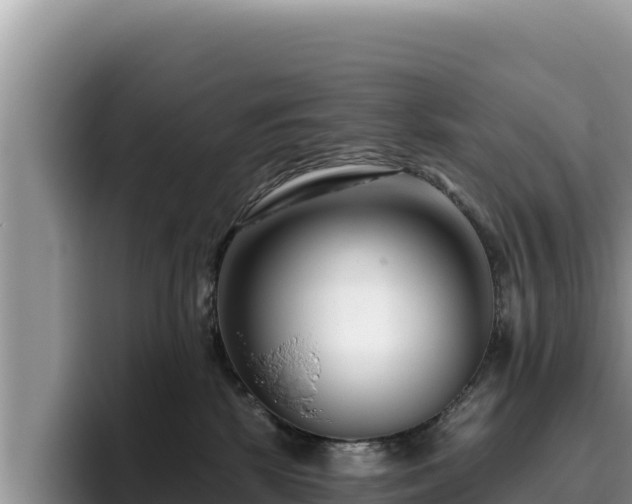 X0000095900281200801181252