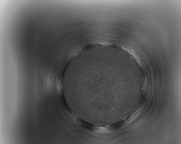 X0000095900285200801181252