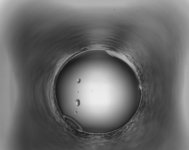 X0000095900289200801181251