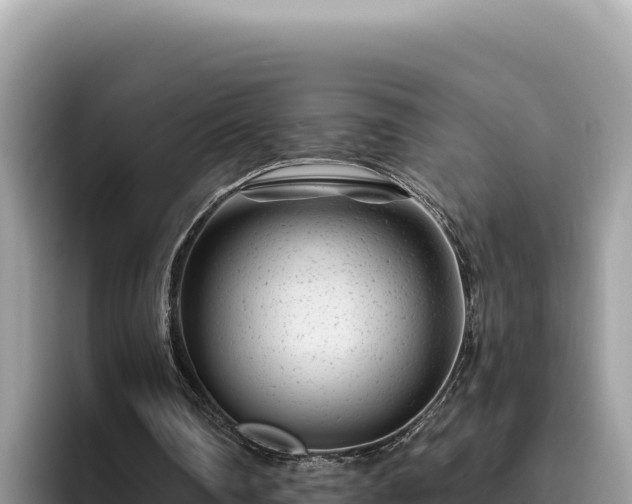 X0000095900290200801181251