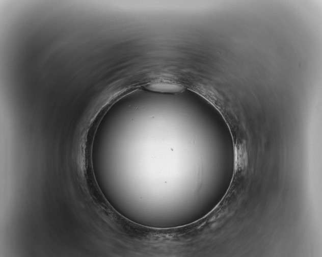 X0000095900291200801181251