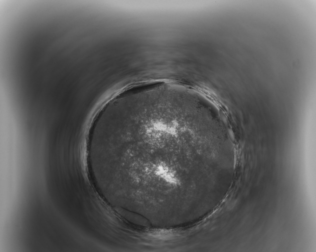 X0000095900293200801181251