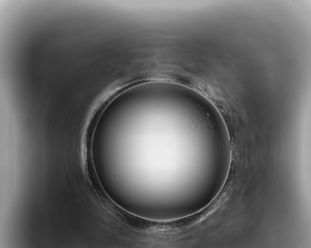 X0000095900294200801181251