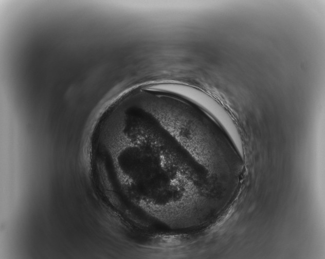 X0000095900295200801181251