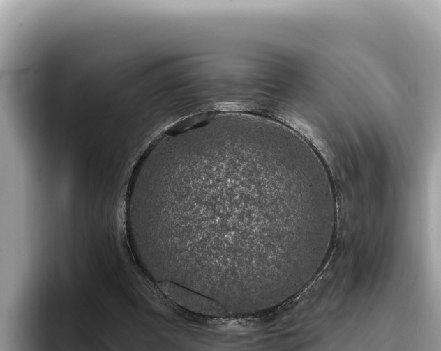 X0000095900297200801181251