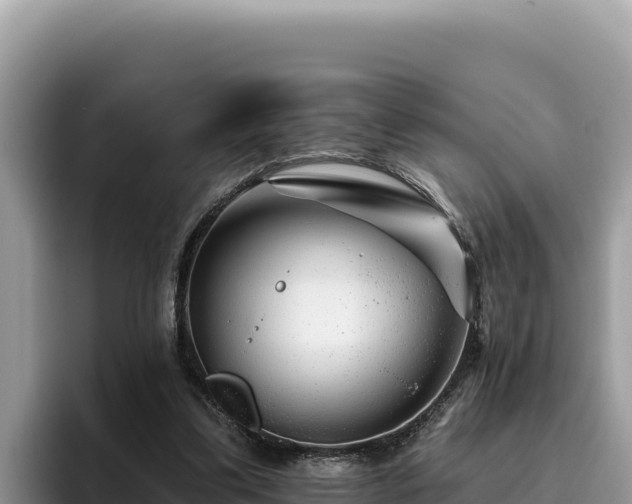 X0000095900299200801181251