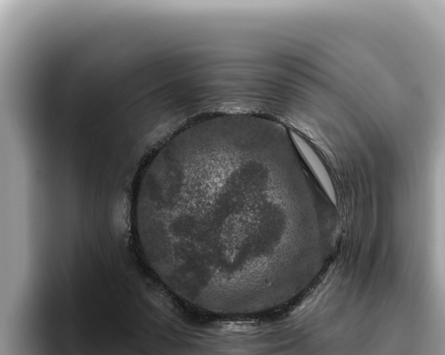 X0000095900303200801181251