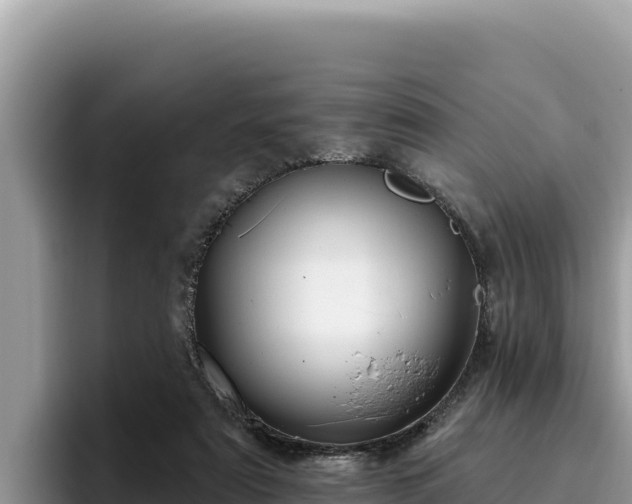 X0000095900307200801181251