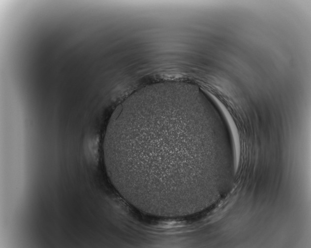 X0000095900319200801181251