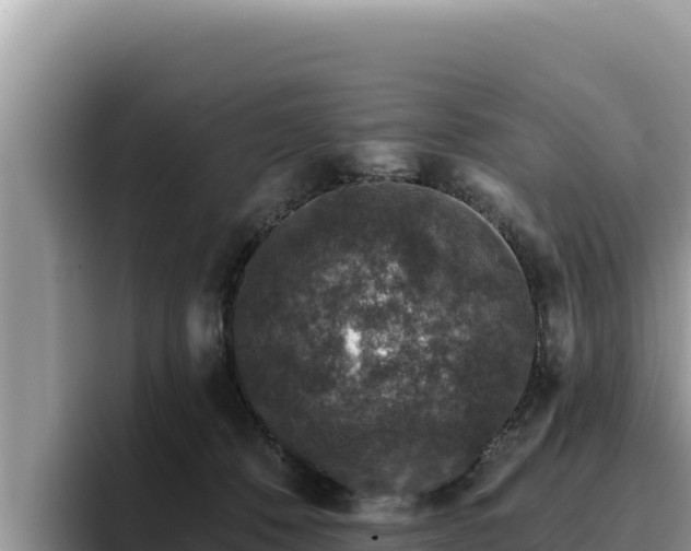 X0000095900320200801181251