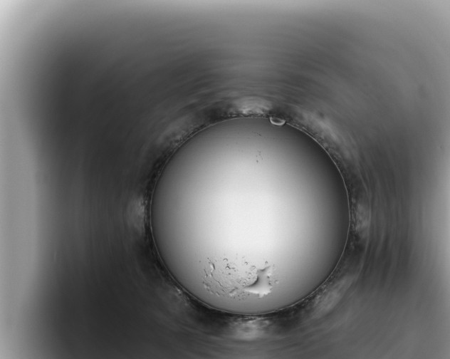 X0000095900321200801181251