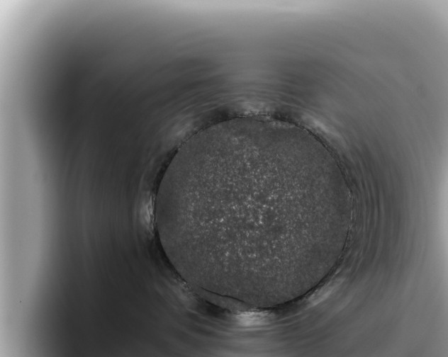 X0000095900336200801181251