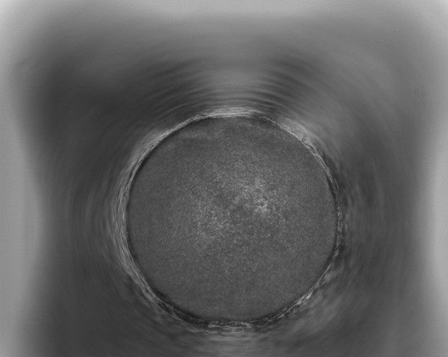 X0000095900337200801181250