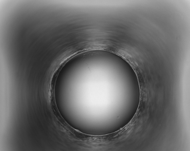 X0000095900338200801181250