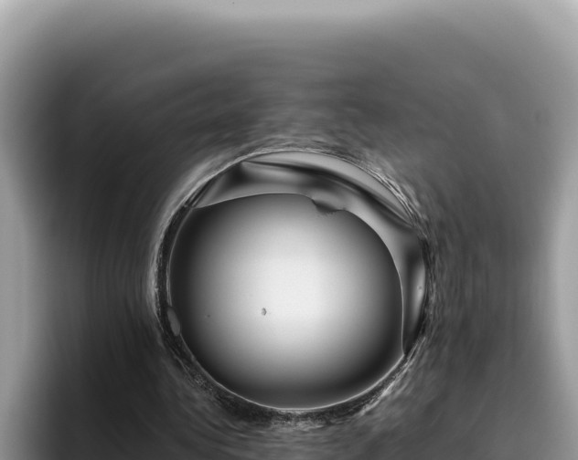 X0000095900340200801181250