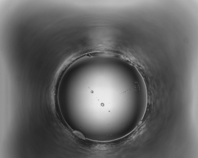 X0000095900341200801181250